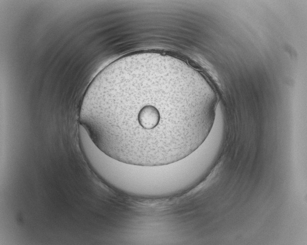 X0000116551369201001071107