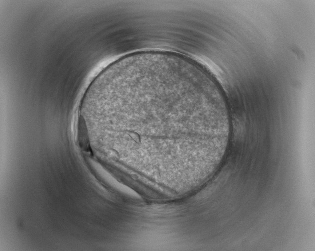 X0000116551371201001071107