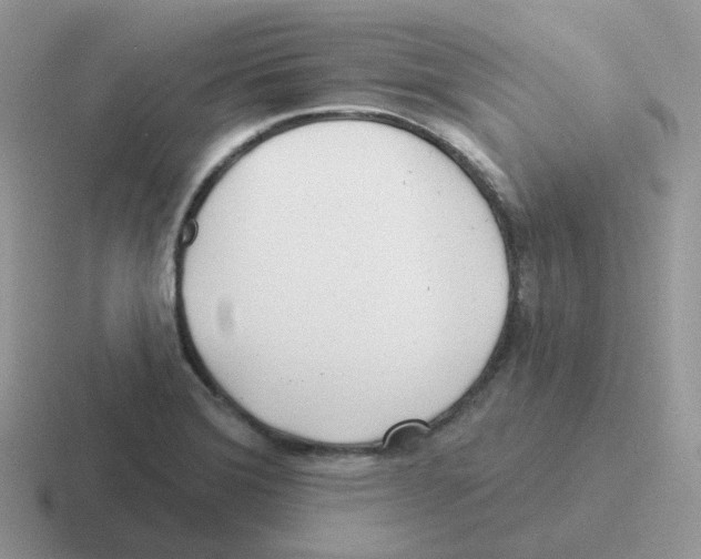 X0000116551372201001071107