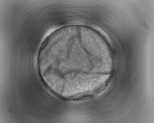 X0000116551373201001071107