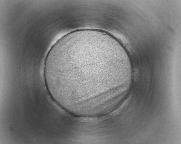 X0000116551374201001071107