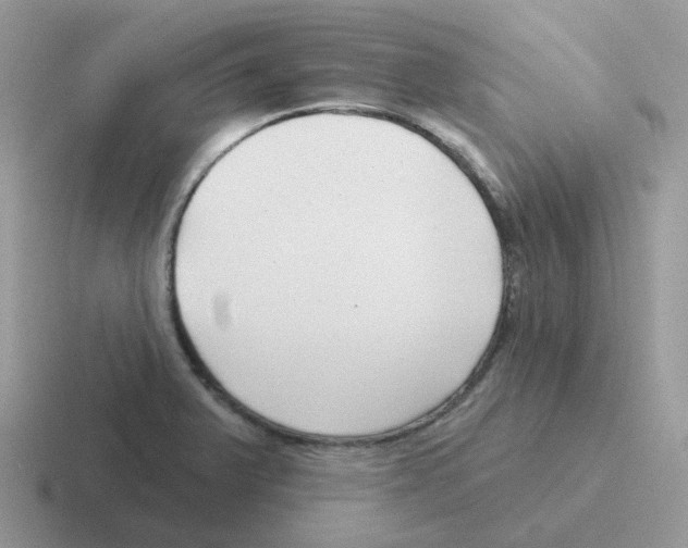 X0000116551375201001071107