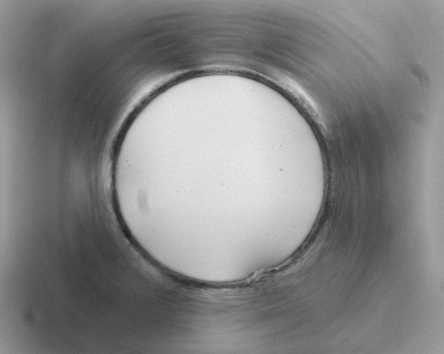 X0000116551376201001071107