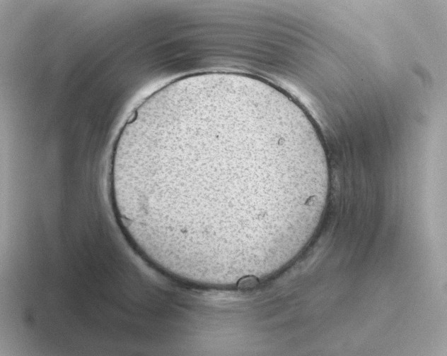 X0000116551379201001071107