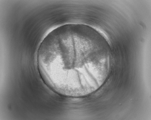 X0000116551382201001071107