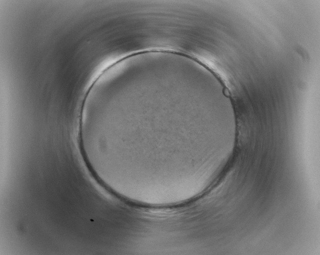 X0000116551383201001071107