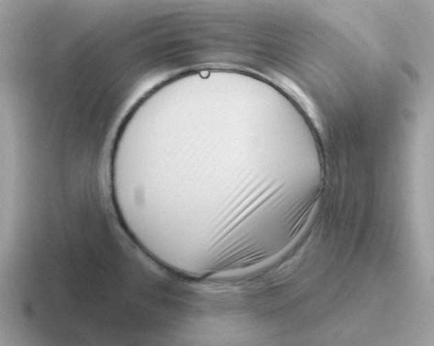 X0000116551384201001071107