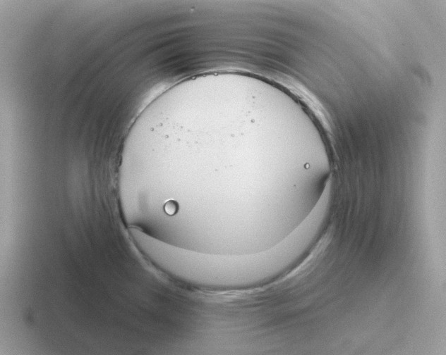 X0000116551385201001071107