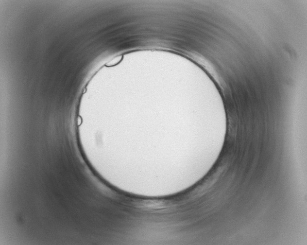 X0000116551387201001071107