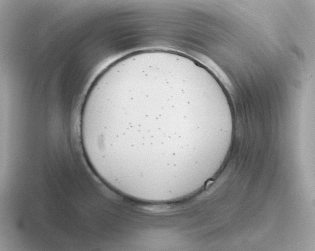 X0000116551388201001071107