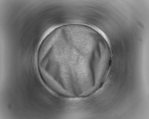 X0000116551389201001071107