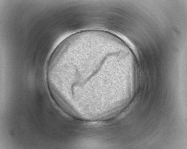 X0000116551390201001071107