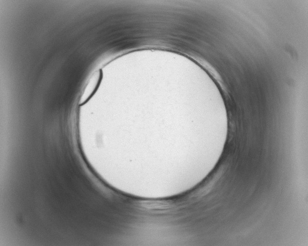 X0000116551391201001071107