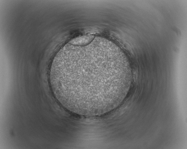 X0000116551393201001071107