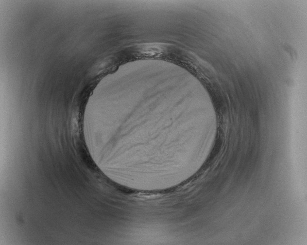 X0000116551394201001071107