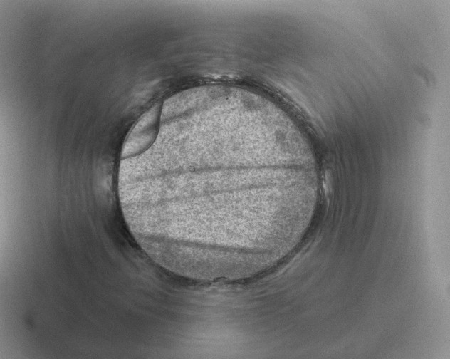 X0000116551396201001071107