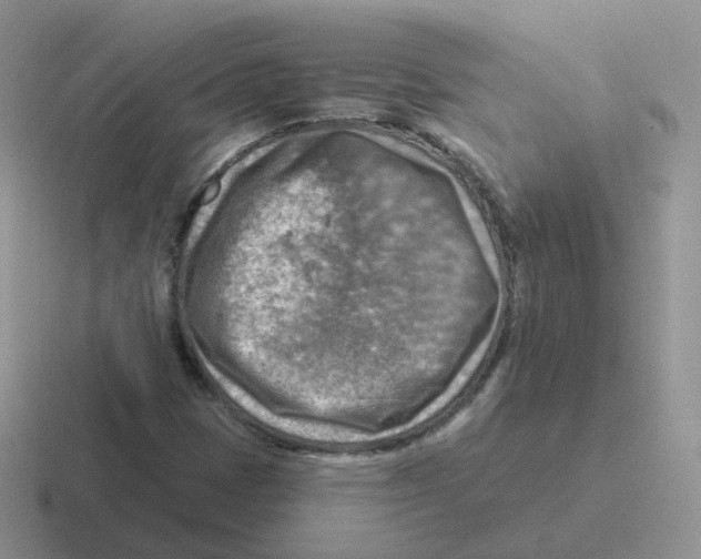 X0000116551401201001071107