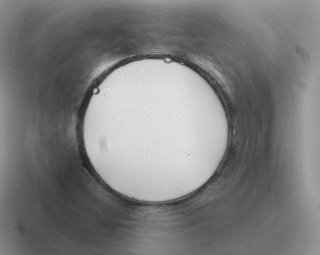 X0000116551404201001071107