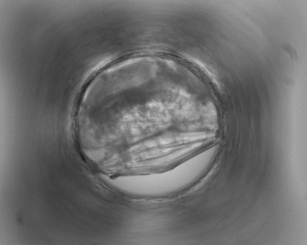 X0000116551405201001071107