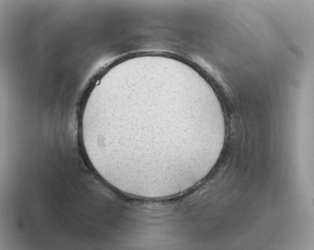 X0000116551408201001071107