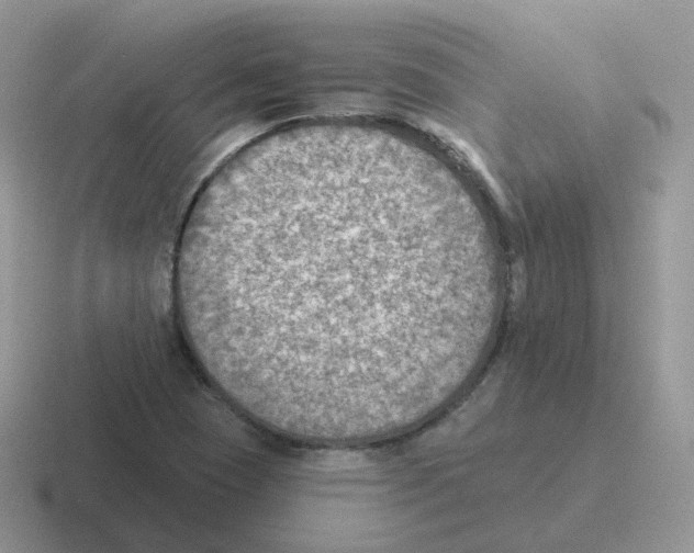 X0000116551409201001071107