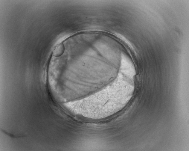 X0000116551413201001071107