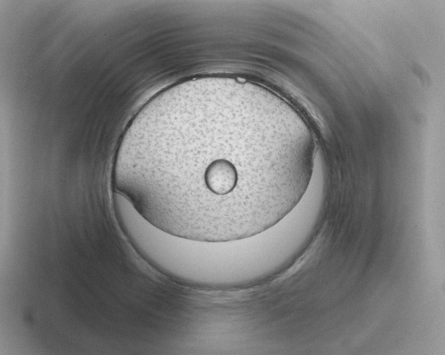 X0000116551417201001071107