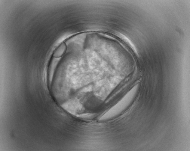 X0000116551419201001071107