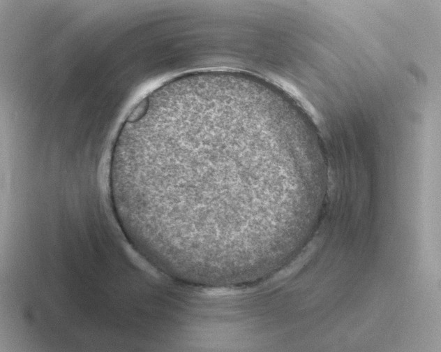 X0000116551421201001071107