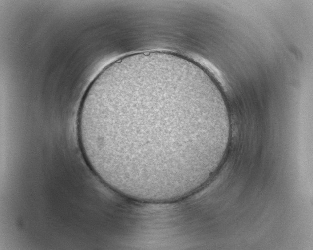 X0000116551423201001071107