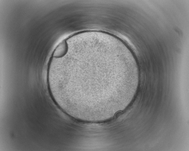 X0000116551424201001071107