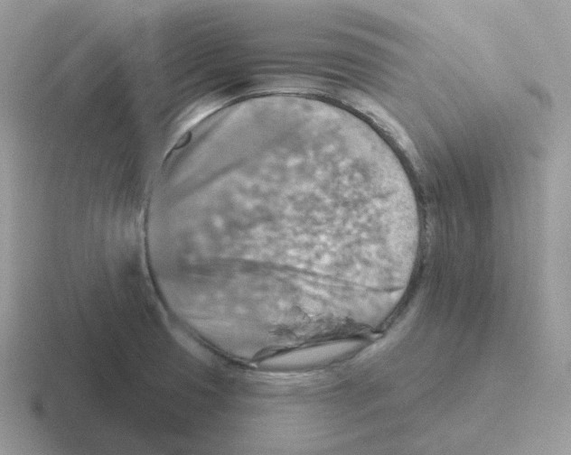 X0000116551425201001071107