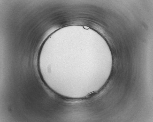 X0000116551426201001071107