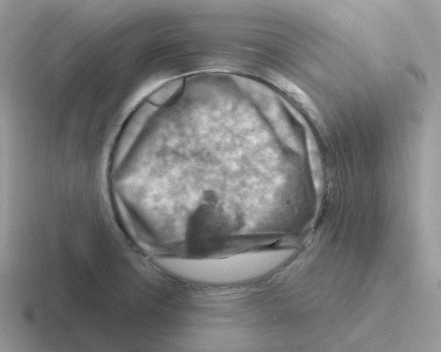 X0000116551427201001071107