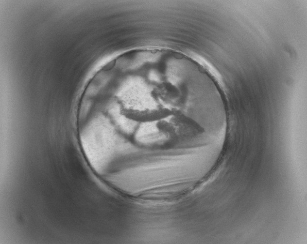 X0000116551429201001071107