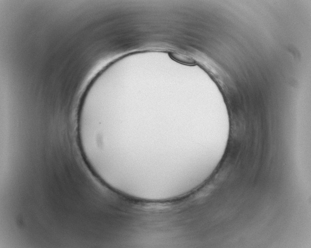 X0000116551430201001071107