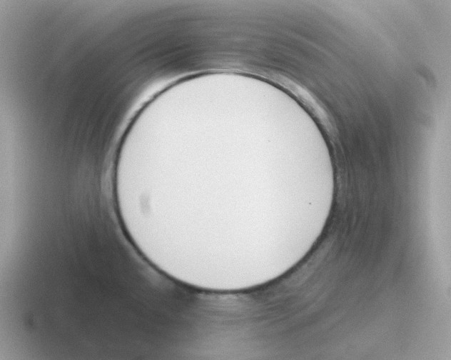 X0000116551432201001071107