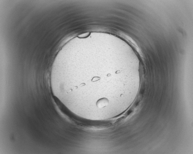 X0000116551433201001071107