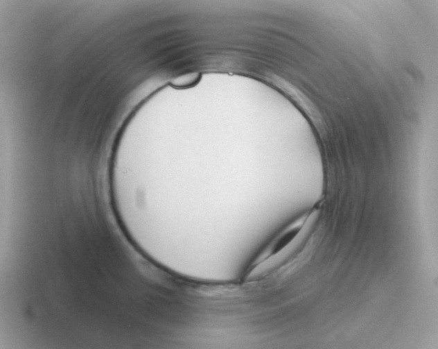 X0000116551434201001071107