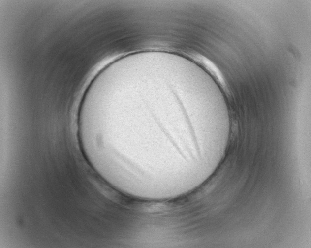 X0000116551435201001071107