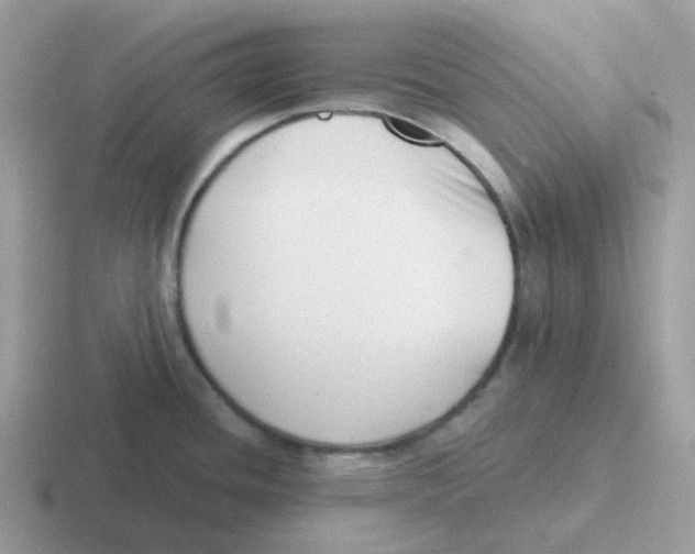 X0000116551436201001071107