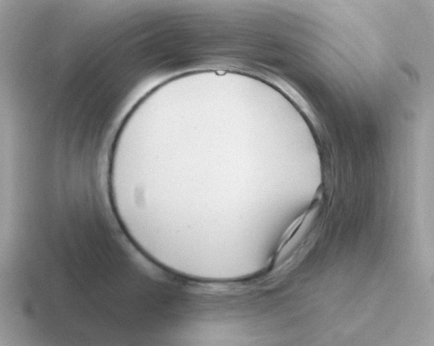 X0000116551438201001071107