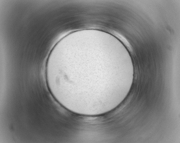 X0000116551439201001071107