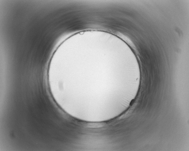 X0000116551440201001071107