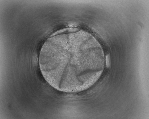 X0000116551443201001071107