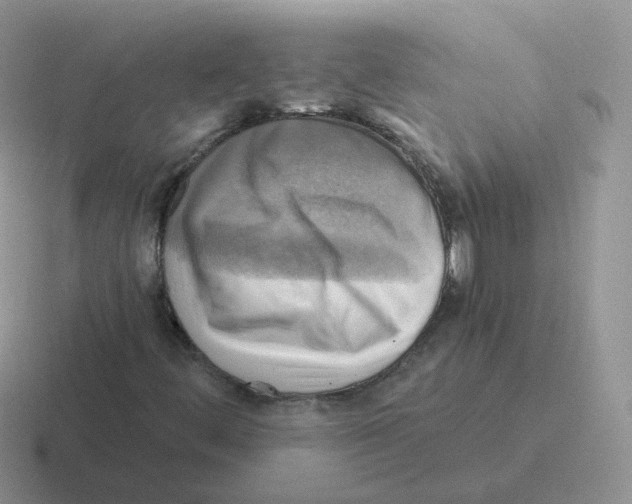 X0000116551444201001071107