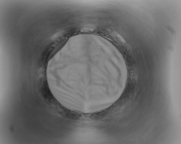 X0000116551445201001071106