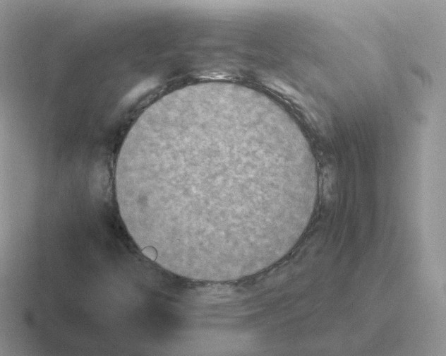 X0000116551446201001071106