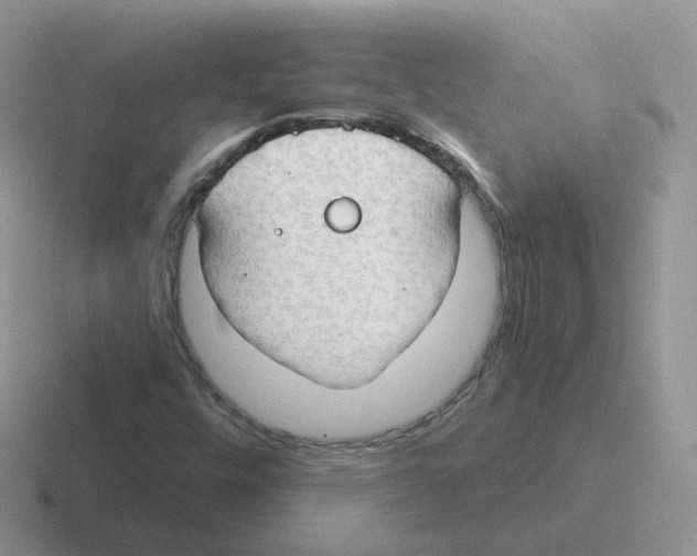 X0000116551448201001071106