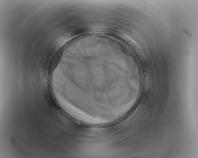 X0000116551449201001071106